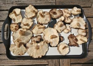 Shiitake Mushrooms