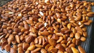 Raw soaked almonds