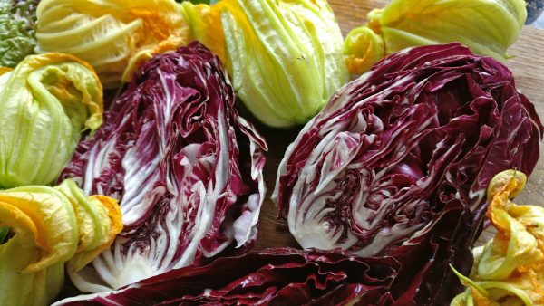 To Cook or Not to Cook? Pros and Cons of Raw Food Diets