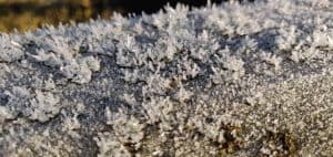 Nature mindfulness - Nutritionist Minna Wood Bracknell