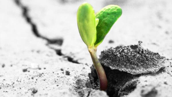 Building Resilience Through Nutrition and Lifestyle Part 2