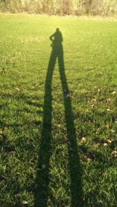 Sun Vitamin D MetaWell BANT registered Nutrition Nutritionist Minna Wood Bracknell