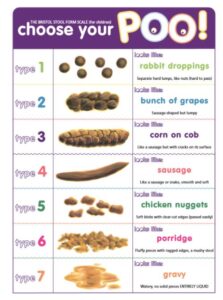 How to Poo Bristol Stool Chart Nutrition Nutritionist Minna Wood MetaWell Bracknell