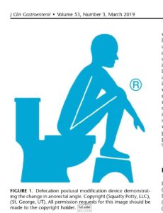 How to Poo Nutrition Nutritionist Minna Wood MetaWell Bracknell