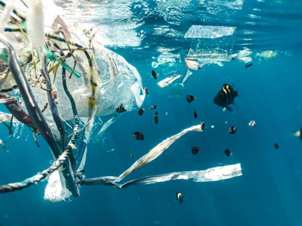 Plastic-Free July