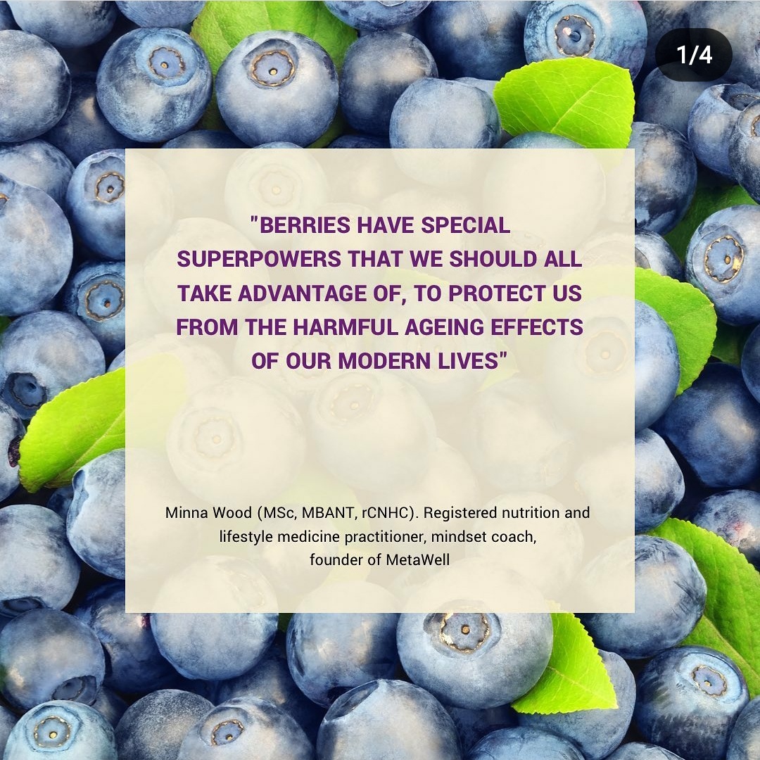 MetaWell Nutritionist Minna Wood Bracknell Gut Health Mental Health Food and Mood